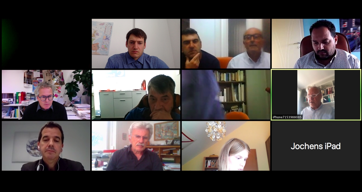 The Non-Kin-State Working Group made preparations for their Annual Meeting via an online meeting