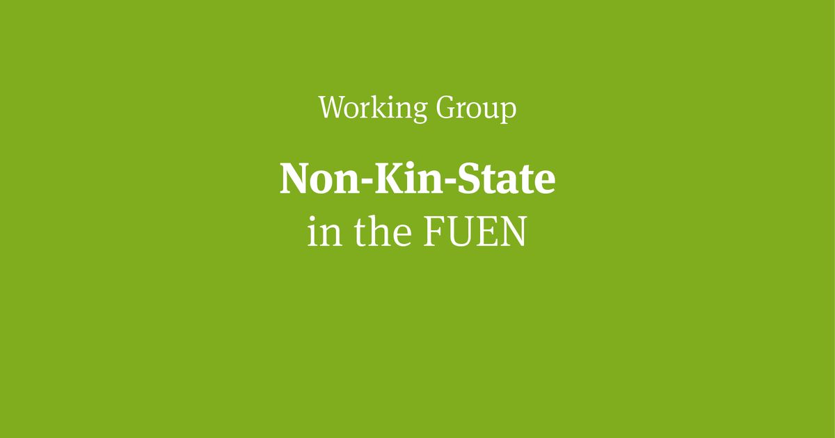 Announcement: Second annual meeting of the Non-Kin-State Working Group in Berlin